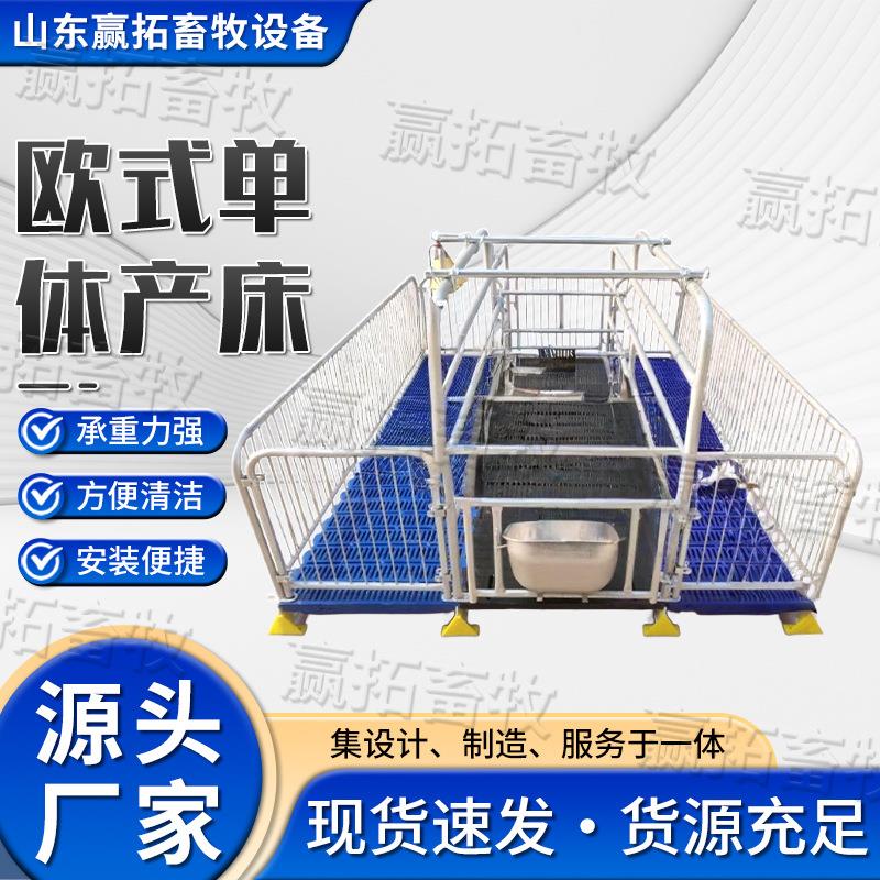 母猪产床欧式单体产床分娩热浸锌母猪欧式产床双体养殖设备母猪床