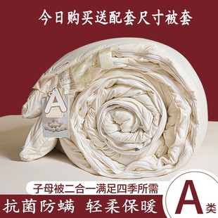 蚕蛹蛋白加厚冬被子母被二合一拉链款双胞胎被单双人被学生冬季被
