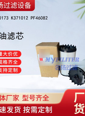 供应FS20173 K371012 PF46082燃油滤清器滤芯