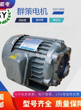 台湾S.Y群策电机 C05-43B0 5HP-4P 直插式 油泵电机 配HGP-3A 2A