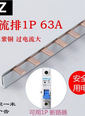 1P单进单出63A国标加厚铜排空气开关断路器配电箱汇流排连接母排