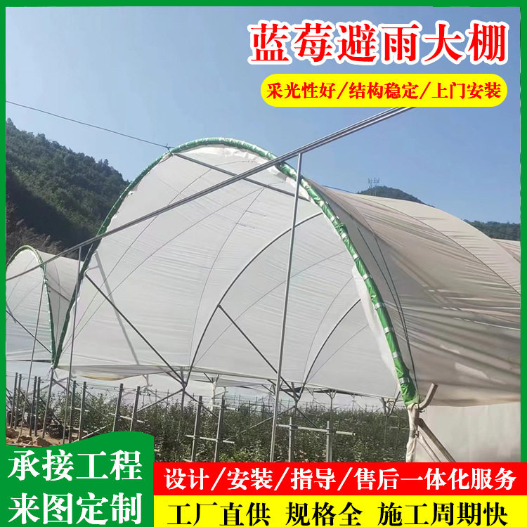 湖南湖北种植蓝莓大棚薄膜连栋避雨大棚防雨防晒薄膜蓝莓避雨大棚