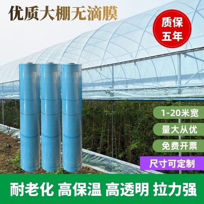 1塑料薄膜膜膜棚加厚透明农用抗膜养殖保温无滴棚大塑料布蔬菜老