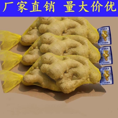 密网编织袋大蒜大蒜网袋超市袋装新款小袋子编织尼龙生鲜装蒜通用