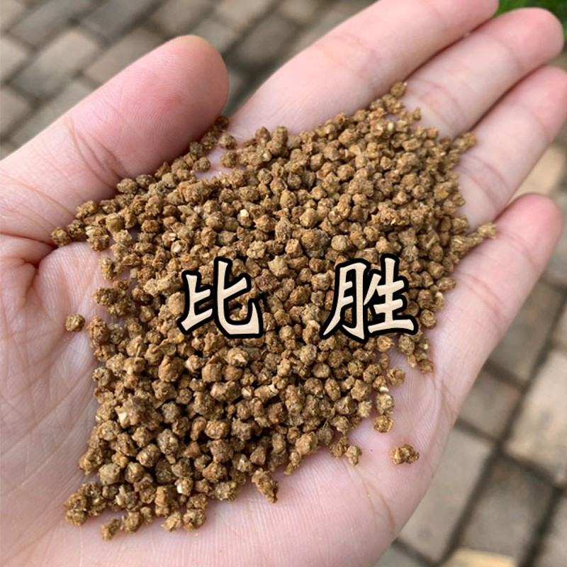 比胜画眉鸟食饲料提性壮膘斗鸟料打口促火打鸟收身上力比赛料500g