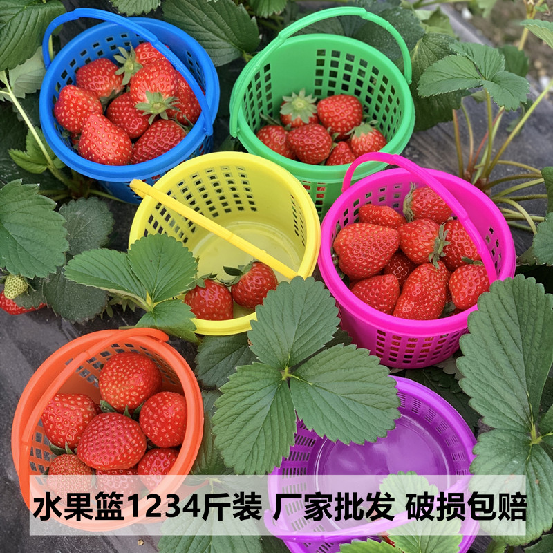 樱桃篮桑葚篮塑料手提小圆篮子1234斤装草莓采摘篮彩色圆篮小框子