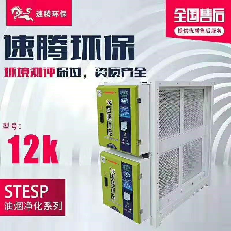 速腾油烟净化器厨房饭店专用静电式6000风量8000风量烧烤低空排