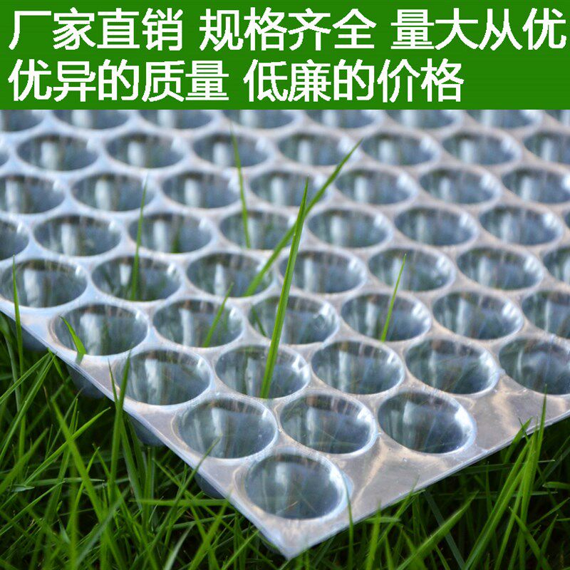 塑料水稻育秧盘9寸机插平盘塔式手抛稻苗秧盘谷物育苗盆透明434孔