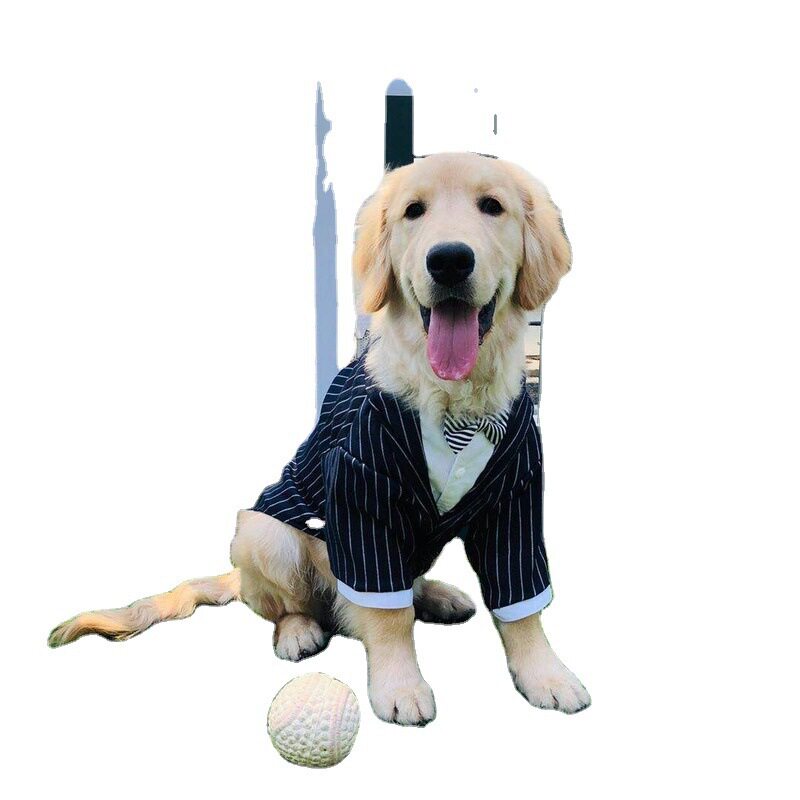 狗狗西装婚礼礼服中型犬大型犬大狗西服法斗金毛生日衣服夏季薄款