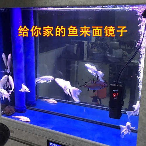 软镜子贴墙自粘鱼缸水族箱鱼照镜子斗鱼可弯曲裁剪增强灯光反光