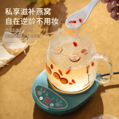 家用大容量炖煮一体多功能养生壶砂锅药煲静音陶瓷中药电药锅绿色