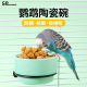 鹦鹉食盆陶瓷鸟食罐防撒防溅食碗自动喂水饮水器喂食器下料器用品