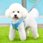 小型犬幼犬胸背带比熊泰迪博美狗链子 遛狗狗牵引绳背心式 夏季 新品