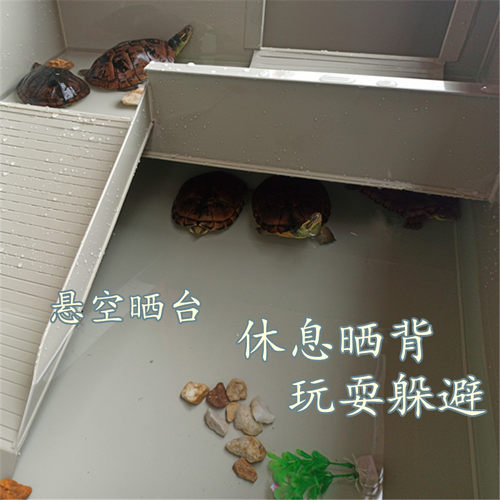 乌龟生态缸晒台龟箱龟池大型家用pp板塑料养殖专用箱大别墅带排水
