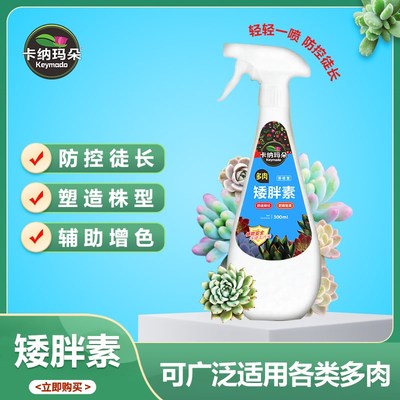 卡纳玛朵植物矮胖素多肉专用增色增肥出锦防徒长肥料园艺营养液