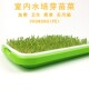 小麦苗种植盘家用芽苗菜育苗盘无土栽培设备水培蔬菜盆豆芽菜托盘