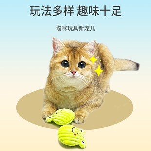 猫咪玩具自嗨解闷响纸毛绒羽毛磨牙耐咬猫薄荷小猫宠物用品逗猫棒