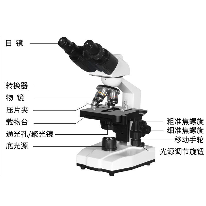 双目生物显微镜光学新课标专业清晰小学生中学生儿童中考实验科学