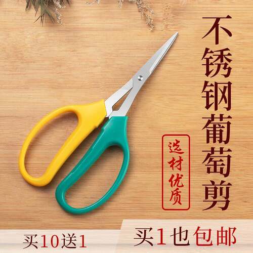 不锈钢翘头葡萄剪刀园林园艺修枝剪花艺摘果蔬果小剪子修剪花卉