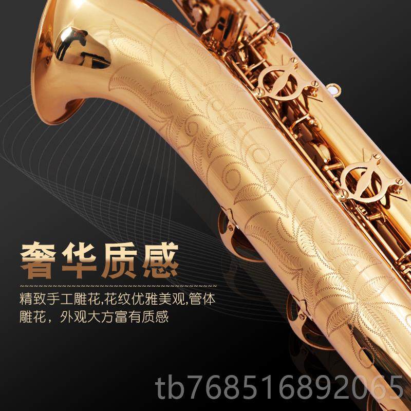 高档未诺上/低音萨克风管斯乐6器VBS-A00降E调专业低音巴里洞萨克,乐器/吉他/钢琴/配件,萨克斯风,淘宝优惠券,粉丝福利购,淘宝优惠卷