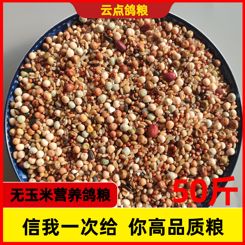 鸽粮50斤包邮无玉米粒红高粱幼鸽豌豆小麦信鸽子通用10斤20斤鸽粮