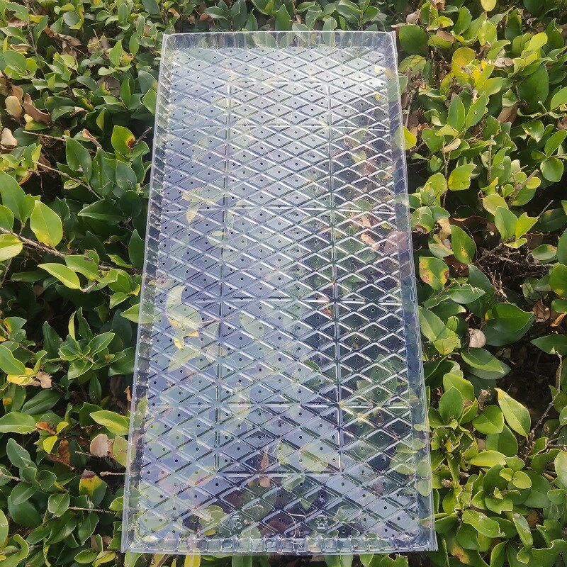 机插秧苗托盘加厚PVC透明平盘9寸插秧机免揭软盘加厚新料秧盆秧盘