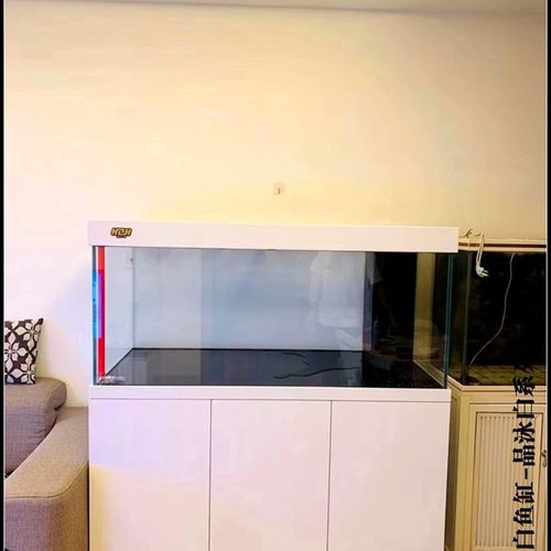 光远2023新款金晶超白玻璃红龙缸轻奢风格铝合金底过滤 全铝结构