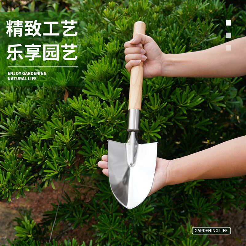 园艺小铁锹短把铁锹白钢平头铲户外园林铲庭院加厚不锈钢花园铲子