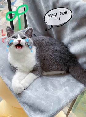 猫吊床四季通用猫挂床晒太阳猫秋千笼子用吊篮猫咪用品悬挂式猫窝