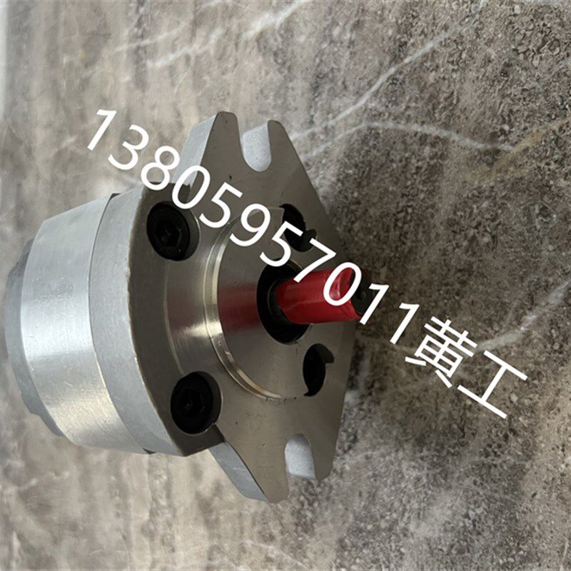 齿轮泵P101RP01G P102RP01G P127RP01G P135RP01G P104RP01G GT