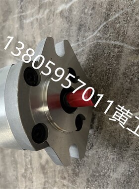 齿轮泵P101RP01G P102RP01G P127RP01G P135RP01G P104RP01G GT