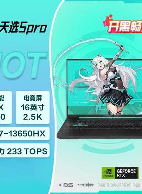 Asus/华硕 天选5Pro i9锐龙版