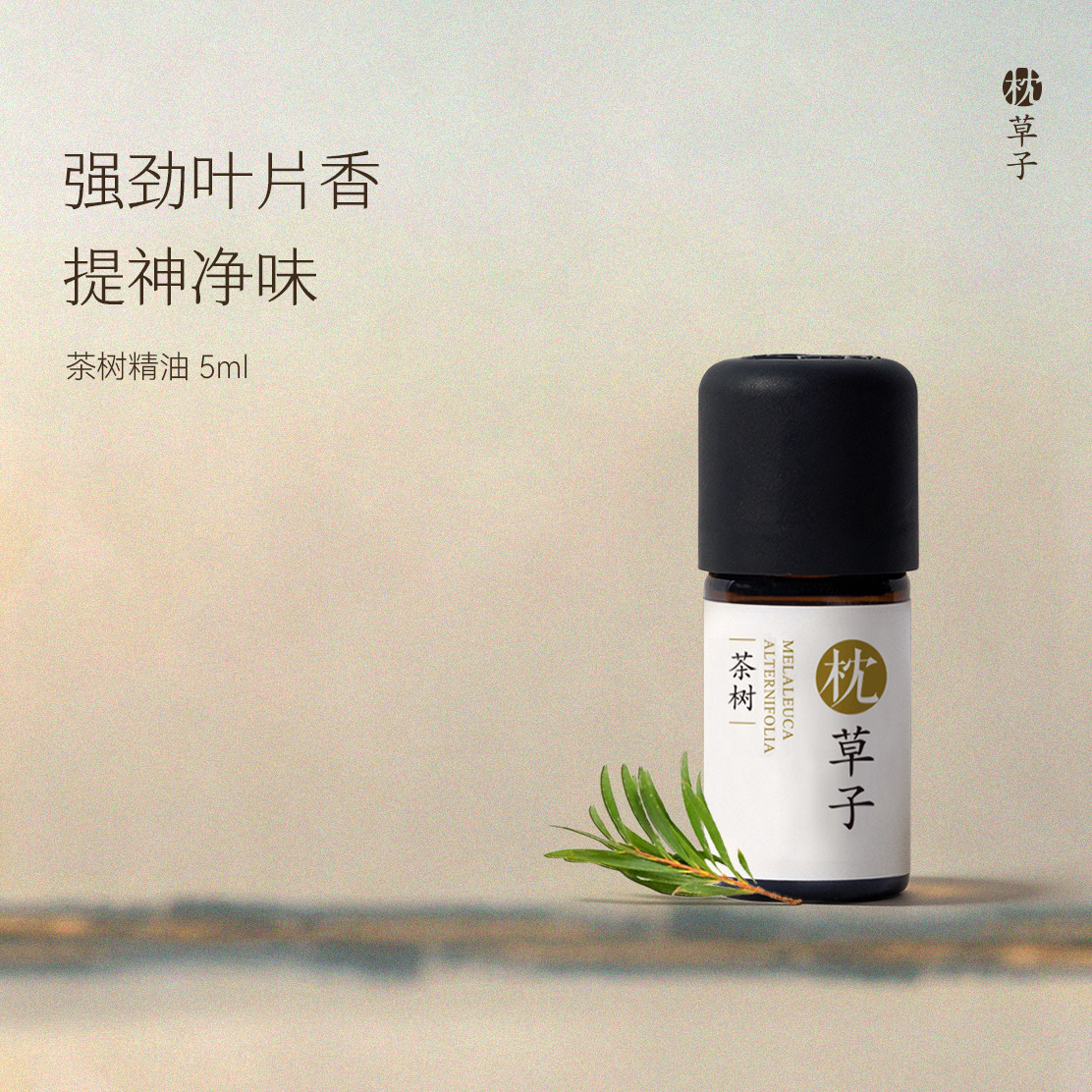 枕草子茶树单方精油家庭芳香小卫士叶片香味提神净味室内香薰扩香图片