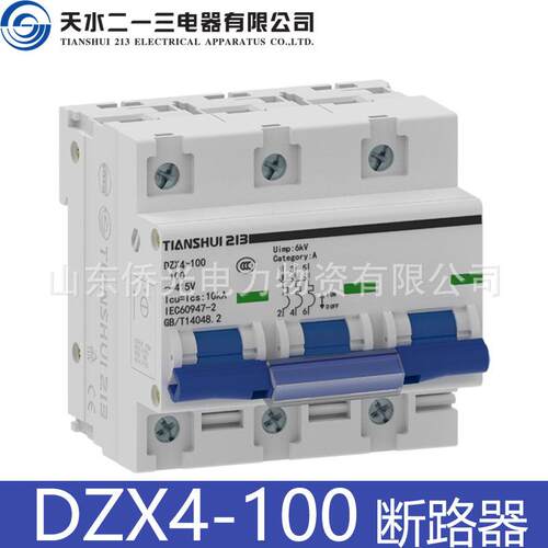 天水二一三小型断路器DZX4-100 2P3PD80AD100A空气开关