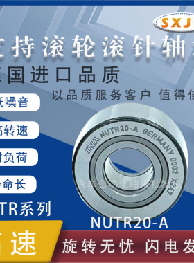 德国进口支撑滚轮滚针轴承 NUTR 205225  20*52*25 PP-A INA 原厂
