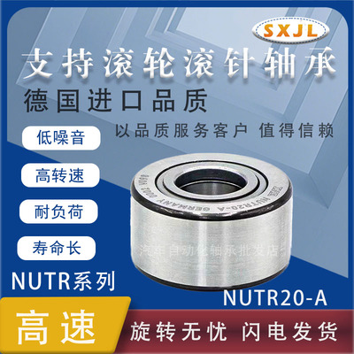 日本进口INAPP-A好品质原厂