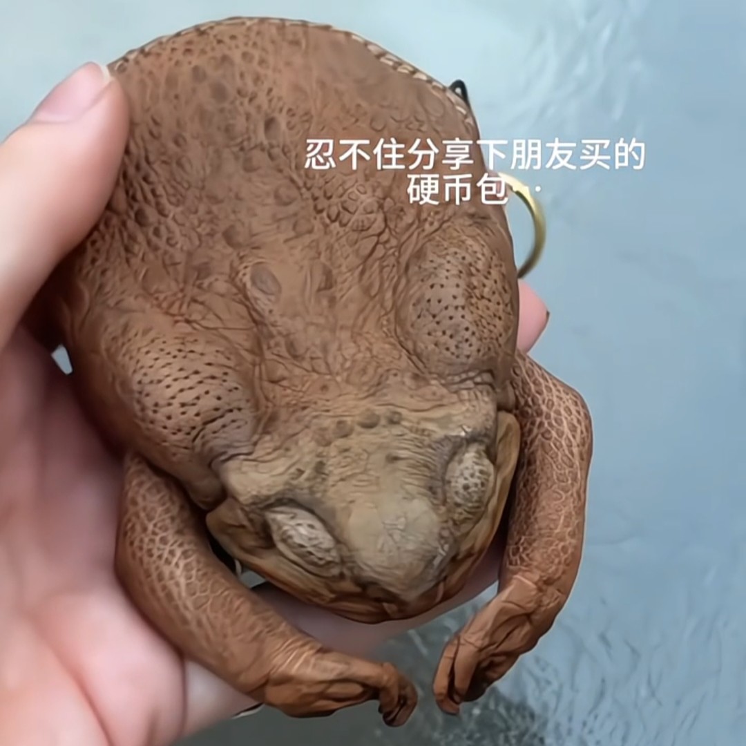 癞蛤蟆零钱包创意整蛊蛤蟆包蟾蜍包便携式口红包搞怪七夕送女朋友