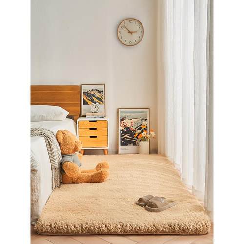 新款卧室床边地毯加厚毛绒榻榻米地垫飘窗垫客厅房间宿舍定制冬季