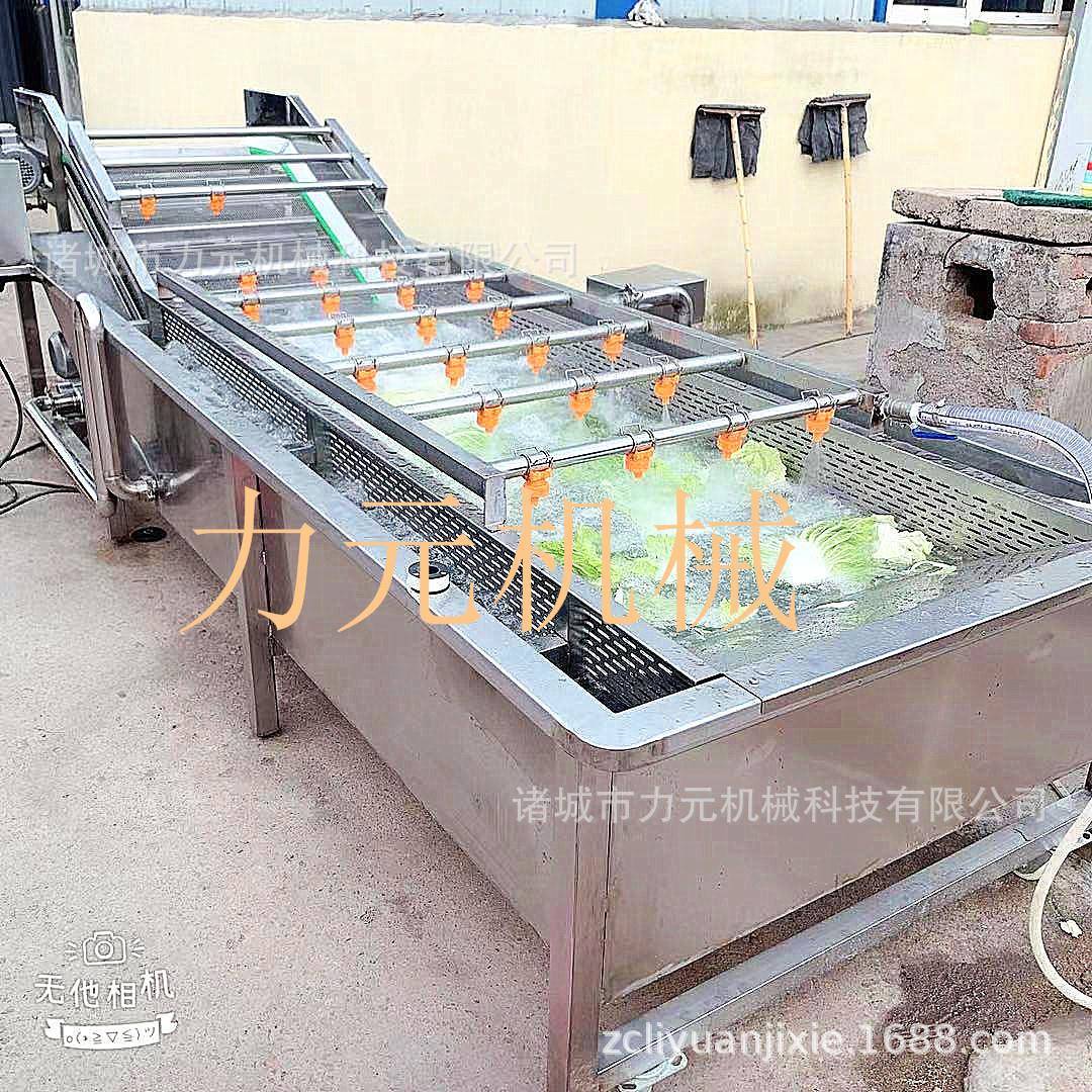 大枣气泡喷淋清洗机绿叶菜果蔬清洗机鱼腥草龙须菜高压清洗设备
