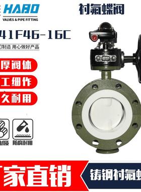 铸钢涡轮衬四氟法兰蝶阀D341F46-16C防腐耐强酸蝶阀DN5065-800
