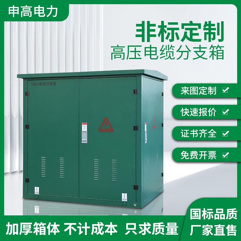 10kv环网柜户外高压箱式开闭所FW-12电缆分支箱SF6全绝缘充气柜