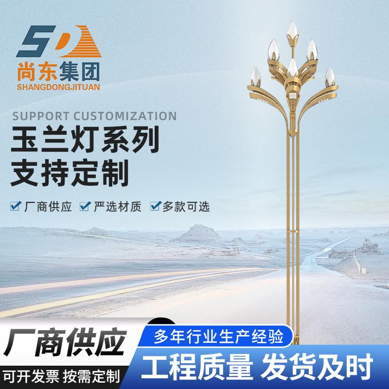 户外市政照明工程中华灯景区公园主干道道路照明LED景观灯玉兰灯