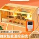 芦丁鸡饲养箱全套宠物专用全景卢丁鸡保温箱幼鸡育雏家用小鸡笼子