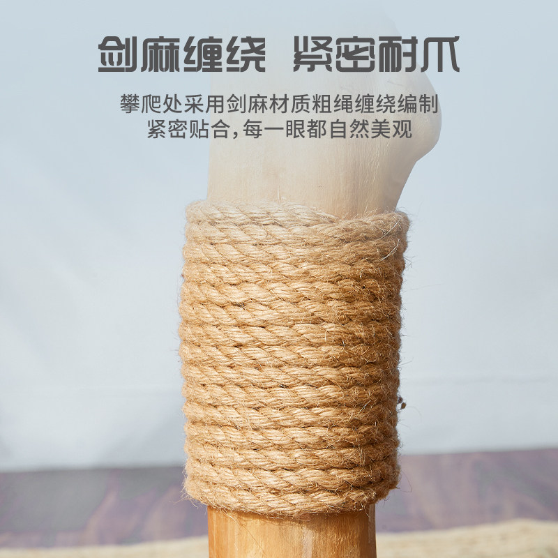 喵想树实木蒲草猫爬架子猫窝猫树一体树干夏天小型剑麻不占地猫架