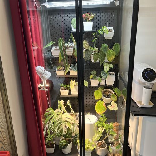 热带植物柜室内温室养殖柜生态简约热植柜闷养花烛柜热植柜洞洞柜