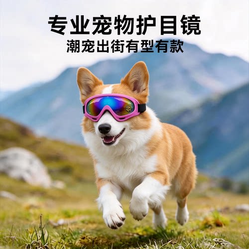 狗狗护目镜柯基户外宠物眼镜墨镜