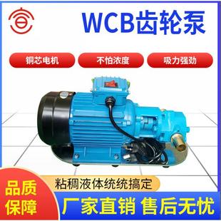 WCB50微型齿轮油泵供应WCB 50微型齿轮油泵