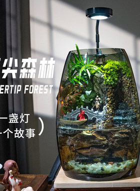 苔藓微景观真绿植流水生态缸摆件