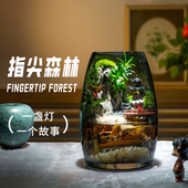 江南新品 纯手工艺术苔藓桌面摆件带流水生态景观真绿植真石头礼物