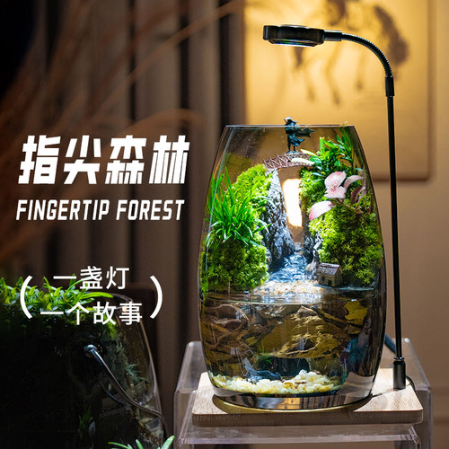 苔藓微景观真绿植流水生态缸摆件